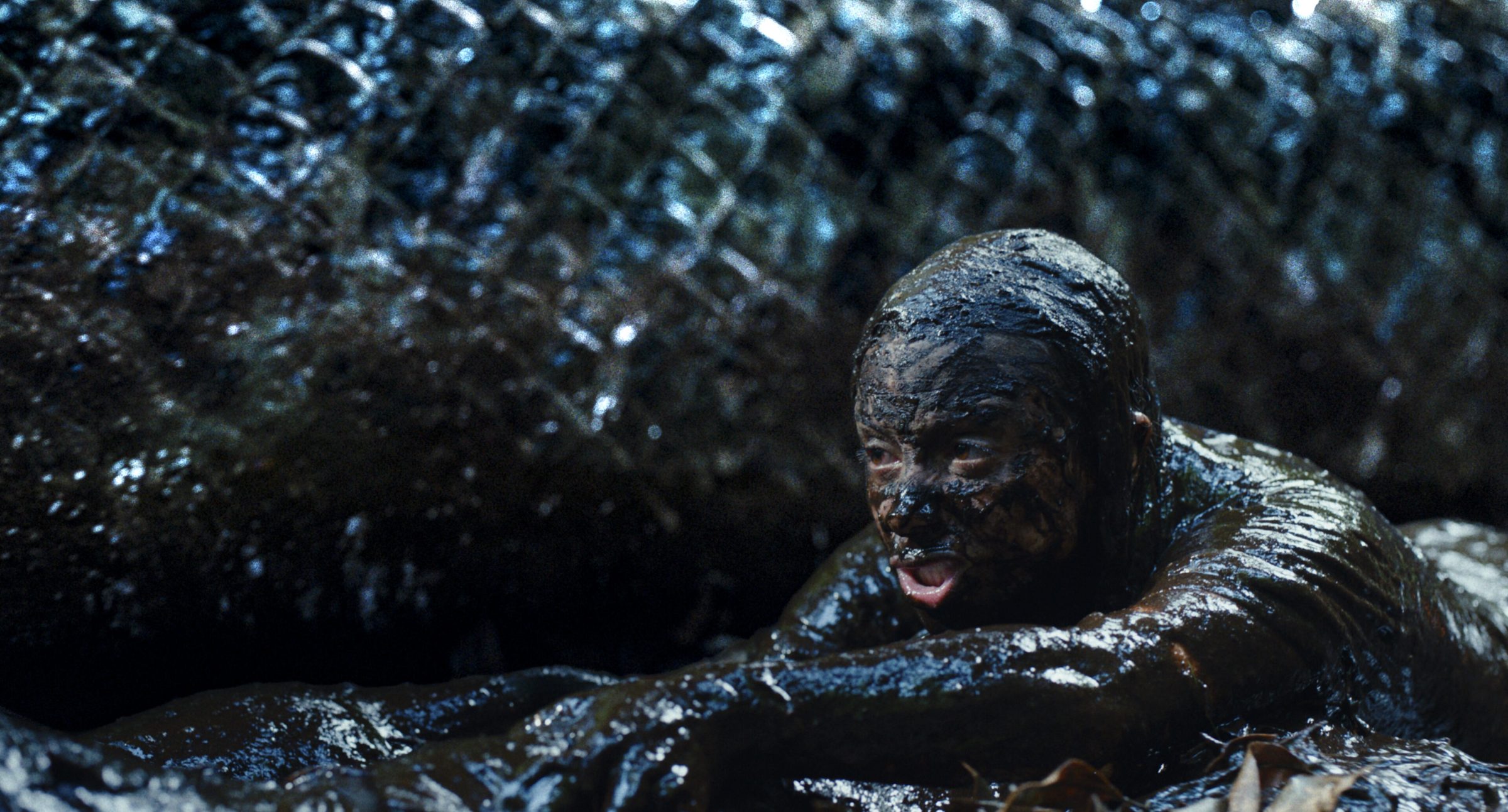 Beware Boiúna – Bild 6