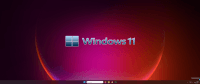 Windows 11
